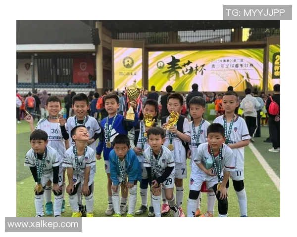 足球明星汇聚一堂主持人精彩解读赛场背后的故事与荣耀