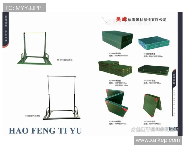 健身器材采购指南如何选择适合你的健身设备与供应商建议