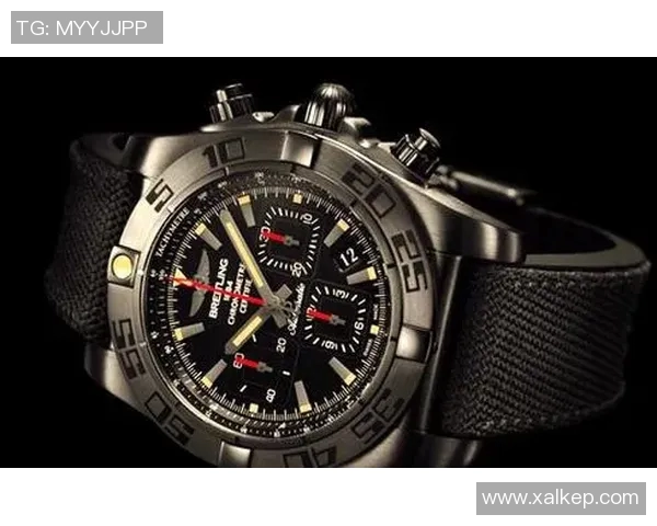 全面解析全球知名体育运动服装品牌及其特色与市场定位