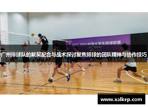 广州排球队的默契配合与战术探讨聚焦排球的团队精神与协作技巧
