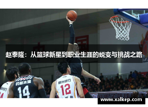 赵泰隆：从篮球新星到职业生涯的蜕变与挑战之路